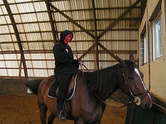 PO 2008 (19)